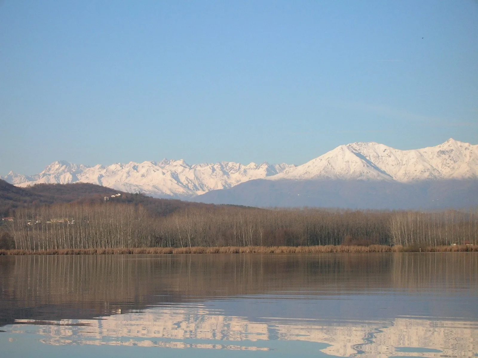 Lago di Candia a fine autunno con alberi spogli, canneto dorato e le Alpi innevate riflesse nell'acqua