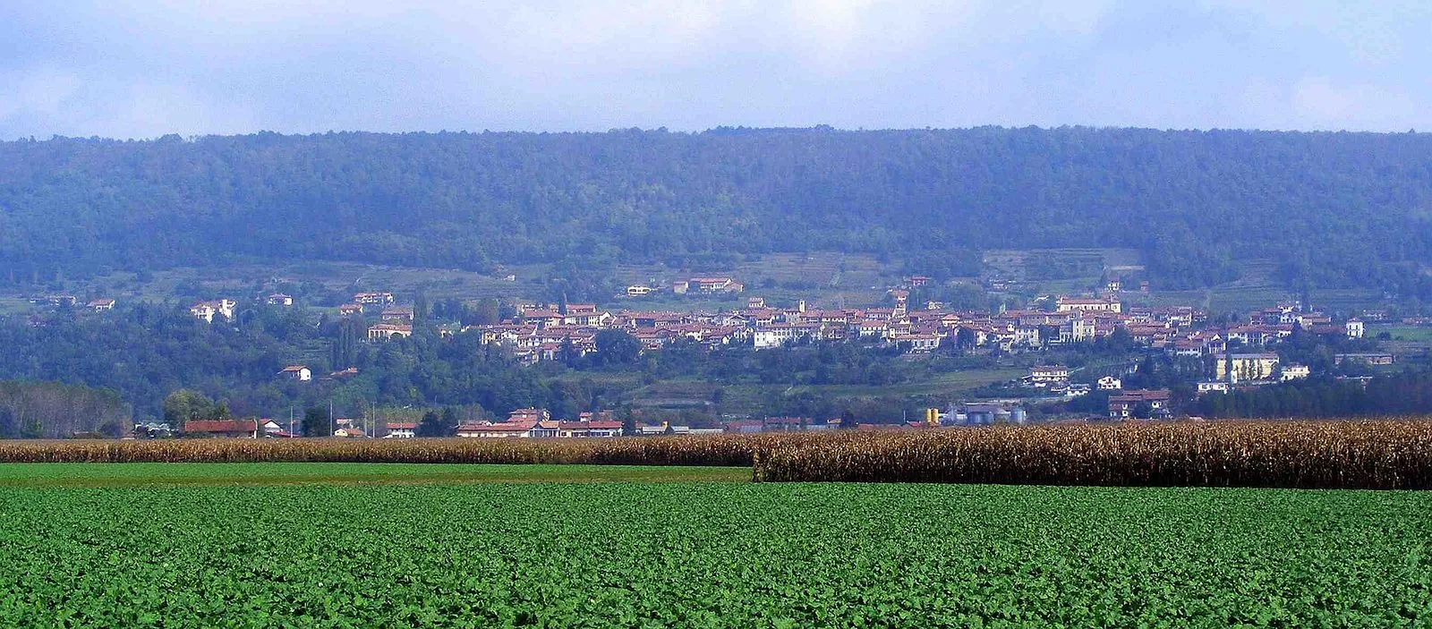 Panorama del Canavese da Piverone, con campi coltivati e il lungo crinale boscoso della Serra d'Ivrea sullo sfondo